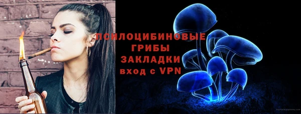 a pvp Алексин