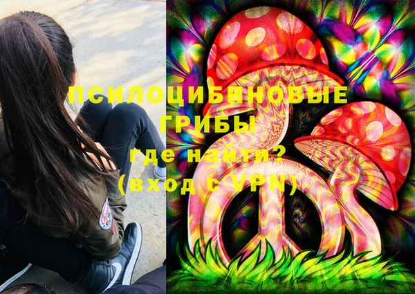 a pvp Алексин