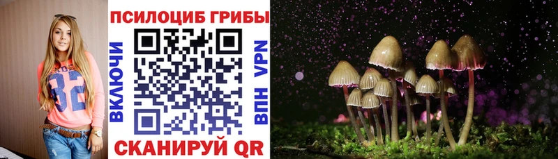 что такое наркотик  Переславль-Залесский  Галлюциногенные грибы Psilocybe 